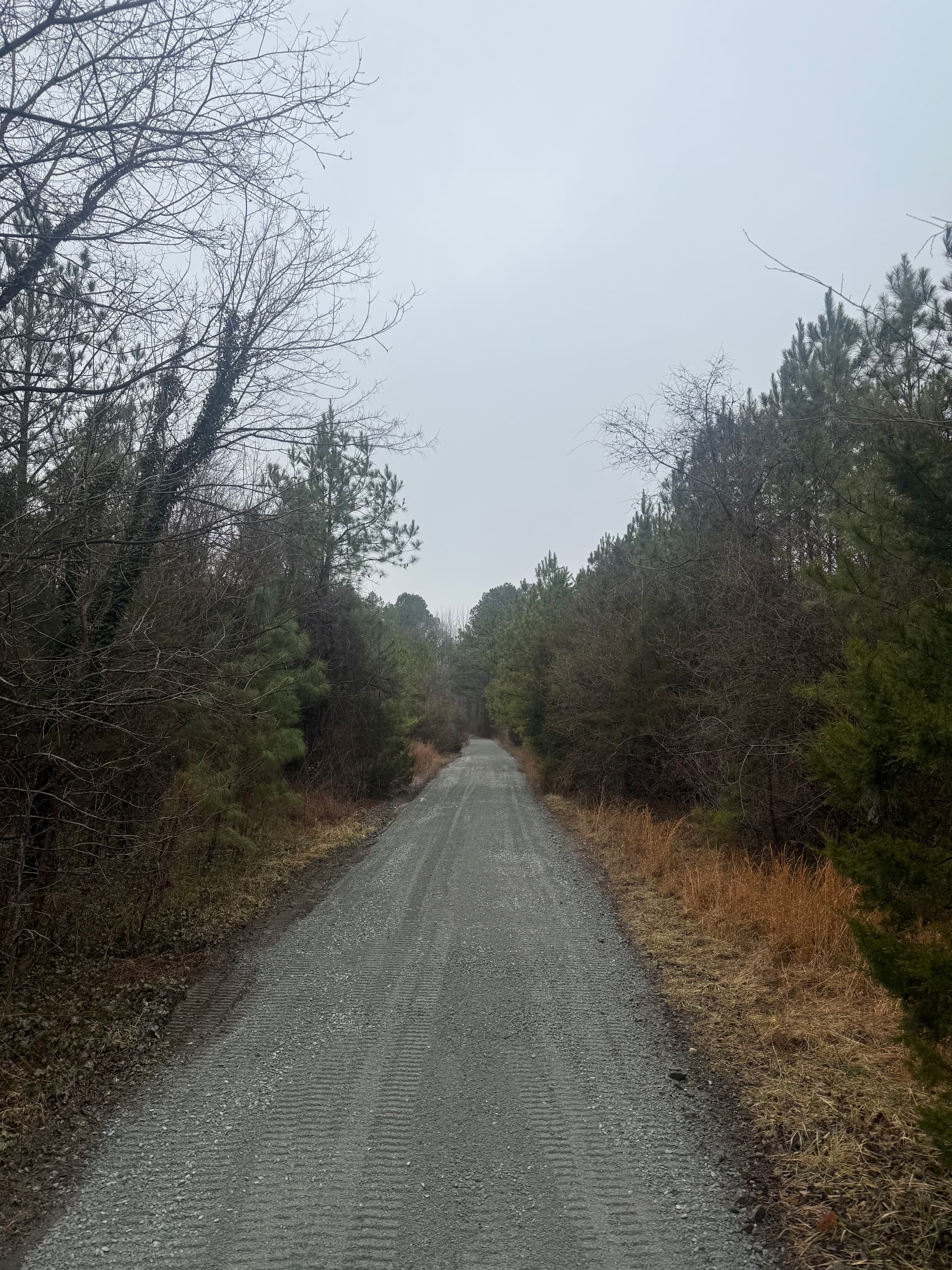 Gallery photos for Gravel Driveway Overhaul: Image #4