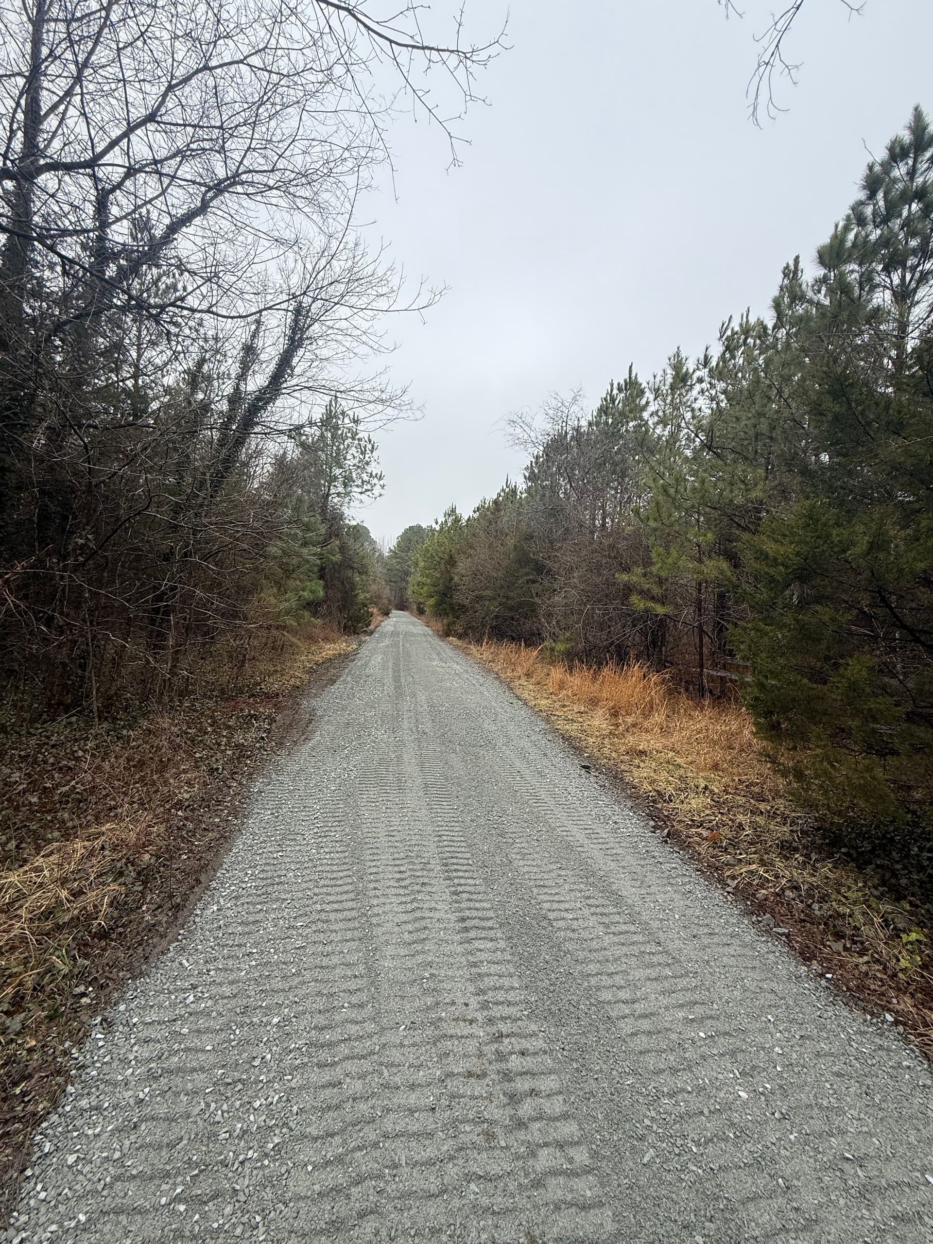 Gallery photos for Gravel Driveway Overhaul: Image #3